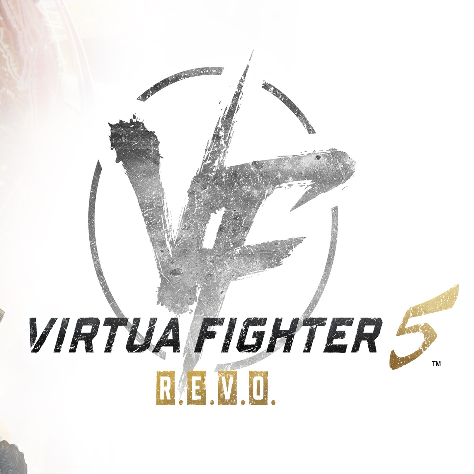 VIRTUA FIGHTER 5 REVO